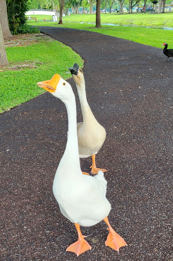 Park «Coral Reef Park», reviews and photos, 7895 SW 152nd St, Palmetto Bay, FL 33157, USA