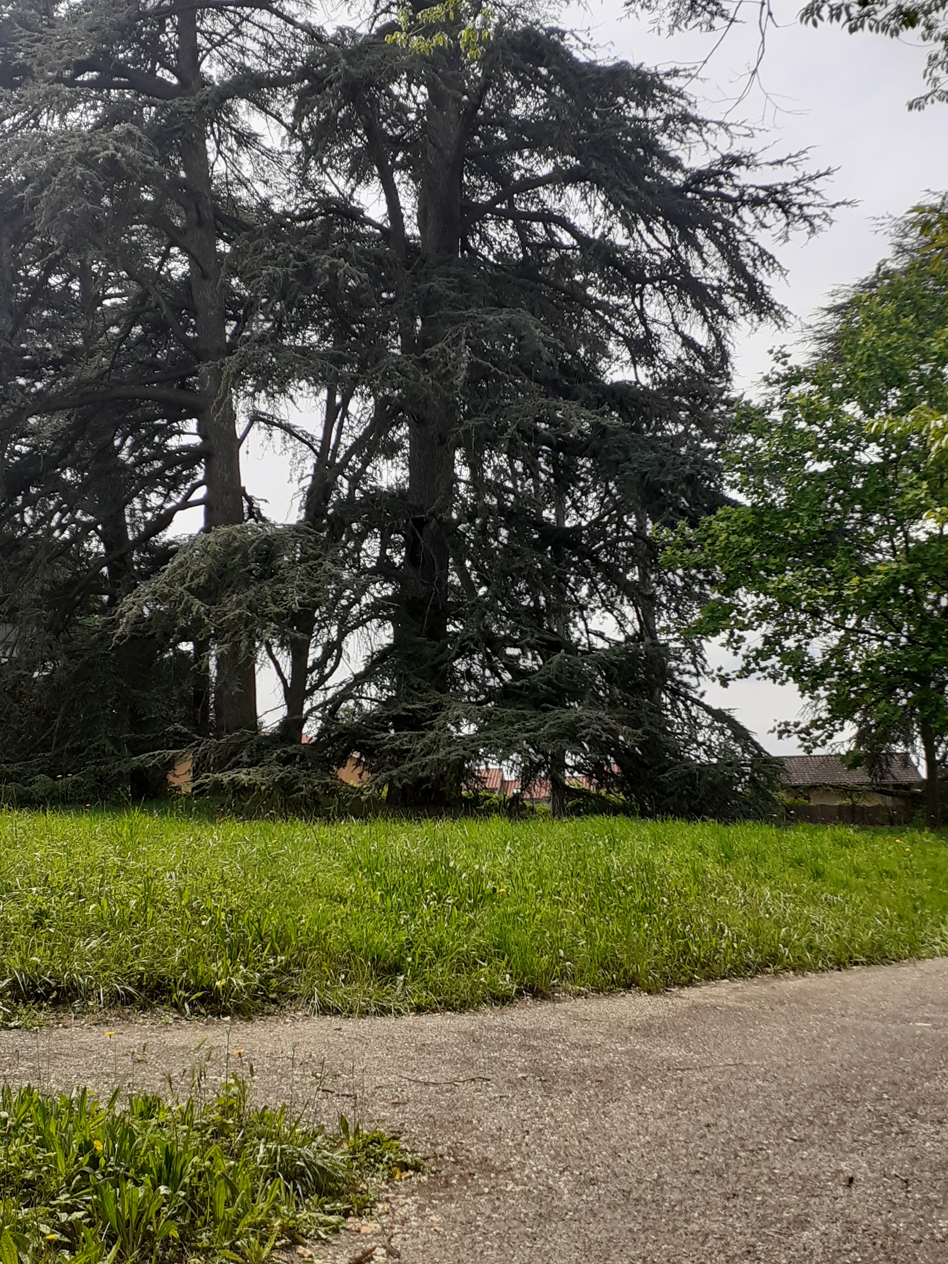 Photo n° 2 de l'avis de Hugo.o fait le 18/05/2023 à 12:21