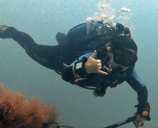 Dive Shop «Depth Perception Dive Center LLC», reviews and photos, 4015 W Gandy Blvd, Tampa, FL 33611, USA