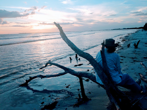 Nature Preserve «San Carlos Bay - Bunche Beach Preserve», reviews and photos, 18201 John Morris Rd, Fort Myers, FL 33908, USA