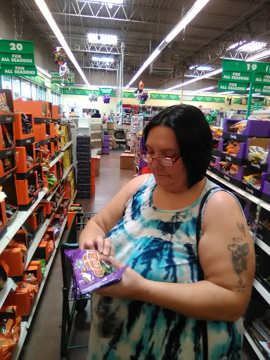 Dollar Store «Dollar Tree», reviews and photos, 740 Wal-Mart Access Rd, Monticello, AR 71655, USA