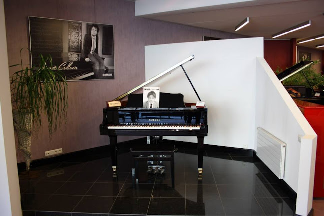 Beoordelingen van Piano's Driesen in Eupen - Winkel