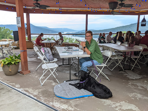 Winery «Look Out Winery, Inc.», reviews and photos, 11848 US-41, Guild, TN 37340, USA