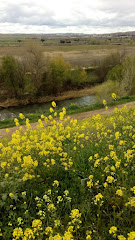 Parque de los Miradores