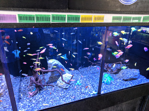 Tropical Fish Store «Premier Aquatics», reviews and photos, 1801 Roswell Rd, Marietta, GA 30062, USA