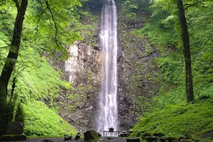 Tamasudare Falls image
