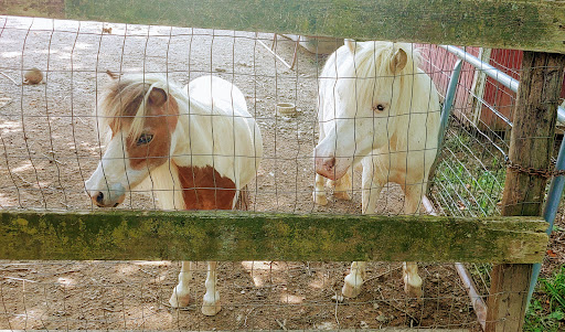 Zoo «Tri-State Zoological Park», reviews and photos, 10105 Cottage Inn Ln NE, Cumberland, MD 21502, USA