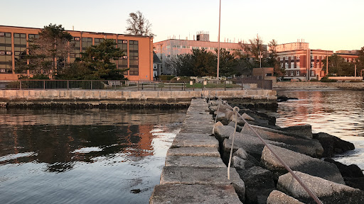 Aquarium «Woods Hole Science Aquarium», reviews and photos, 166 Water St, Woods Hole, MA 02543, USA