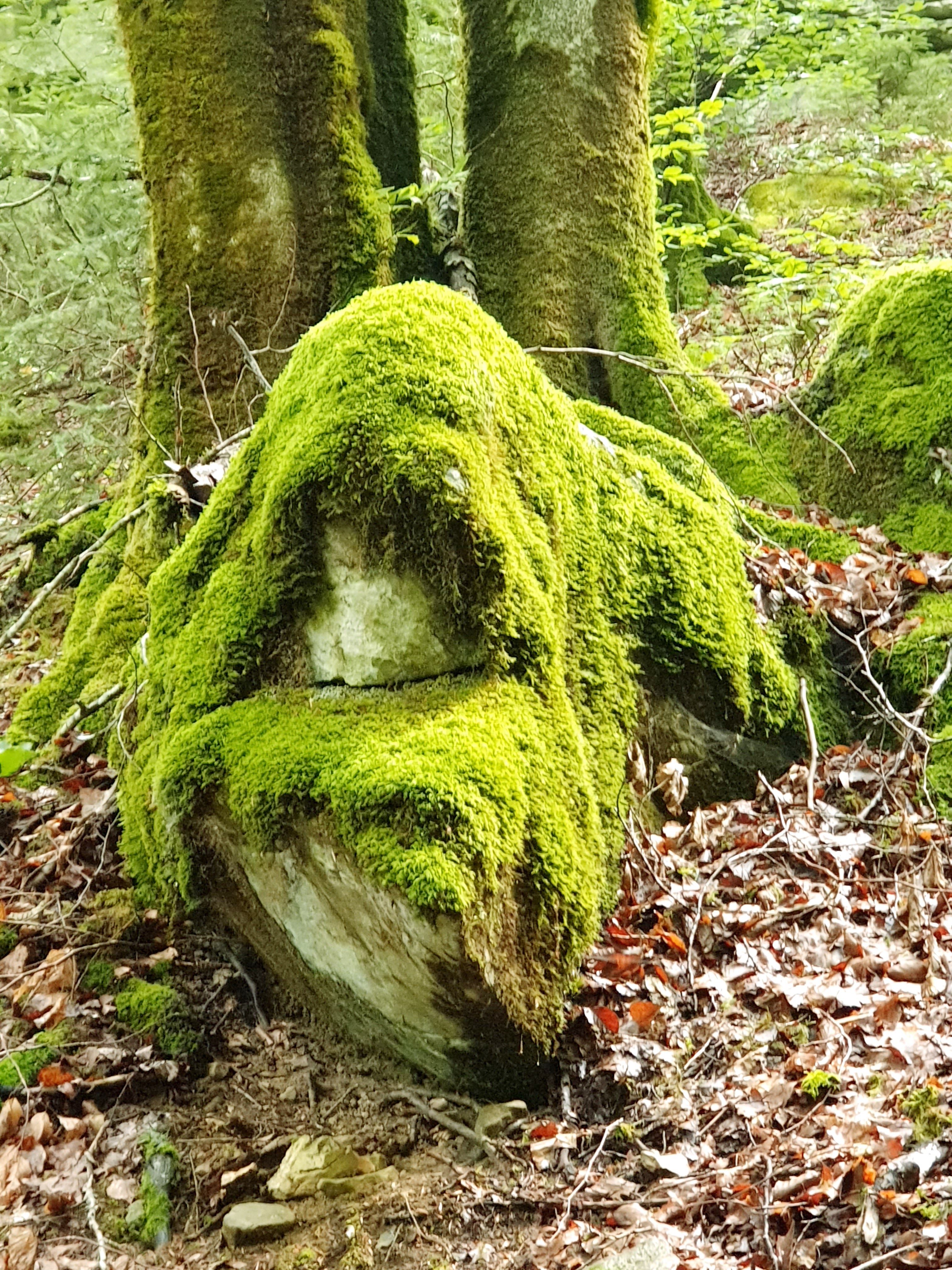 Photo n° 15 de l'avis de Gilles.H fait le 22/07/2020 à 15:28
