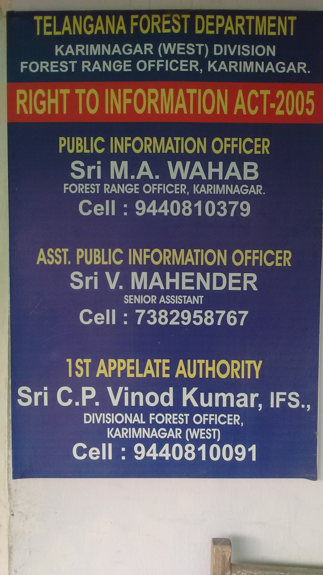Forest Complex