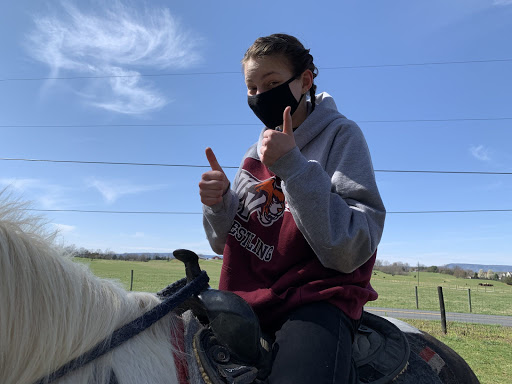 Tourist Attraction «Jordan Hollow Stables», reviews and photos, 657 Pine Grove Rd, Stanley, VA 22851, USA