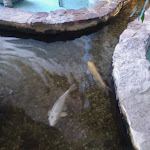 Photo n°35 de l'avis de Milan.a fait le 21/06/2019 à 18:23 sur le  Zur Burg Sternberg à Extertal