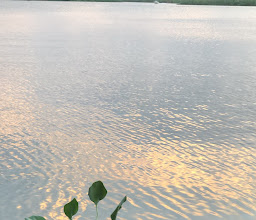 Fray Andrés de Olmos Park photo