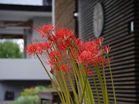 浄土宗 浄土寺