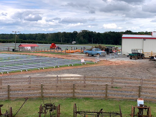 Farm «Southern Belle Farm», reviews and photos, 1658 Turner Church Rd, McDonough, GA 30252, USA