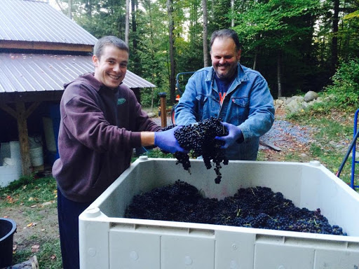 Winery «Ledge Rock Hill Winery, LLC», reviews and photos, 41 Stewart Dam Rd, Corinth, NY 12822, USA