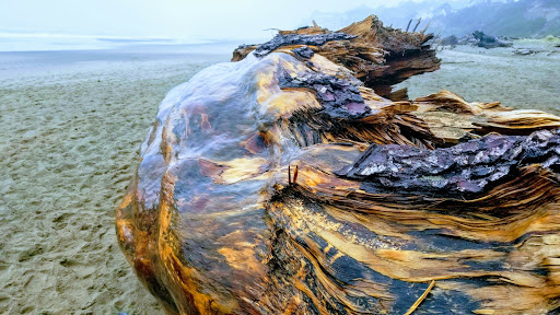 Toy Store «NorthWest Winds Kite Store», reviews and photos, 130 SW Hwy 101, Lincoln City, OR 97367, USA