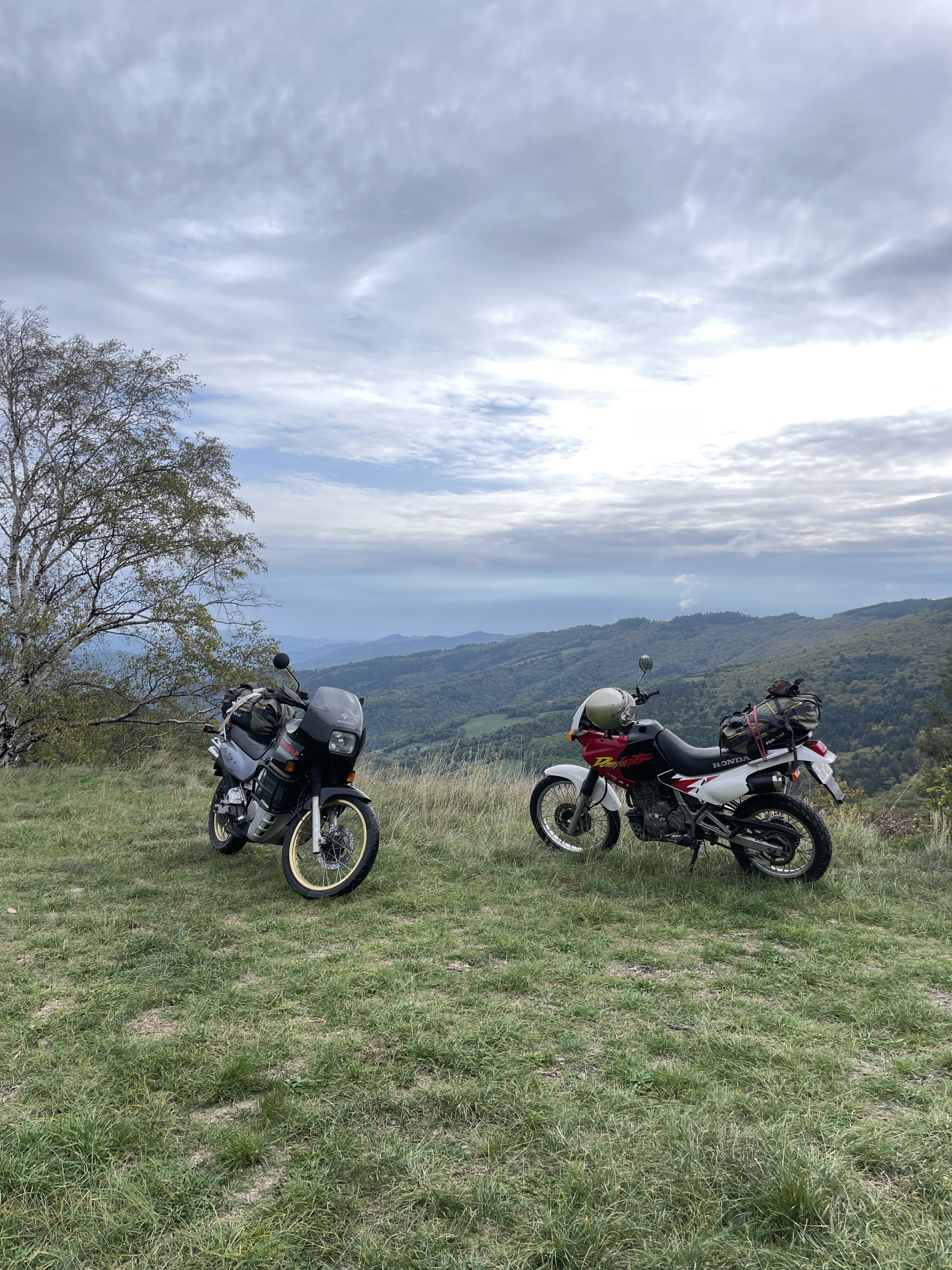 Photo n° 2 de l'avis de Charles. fait le 09/10/2022 à 18:09