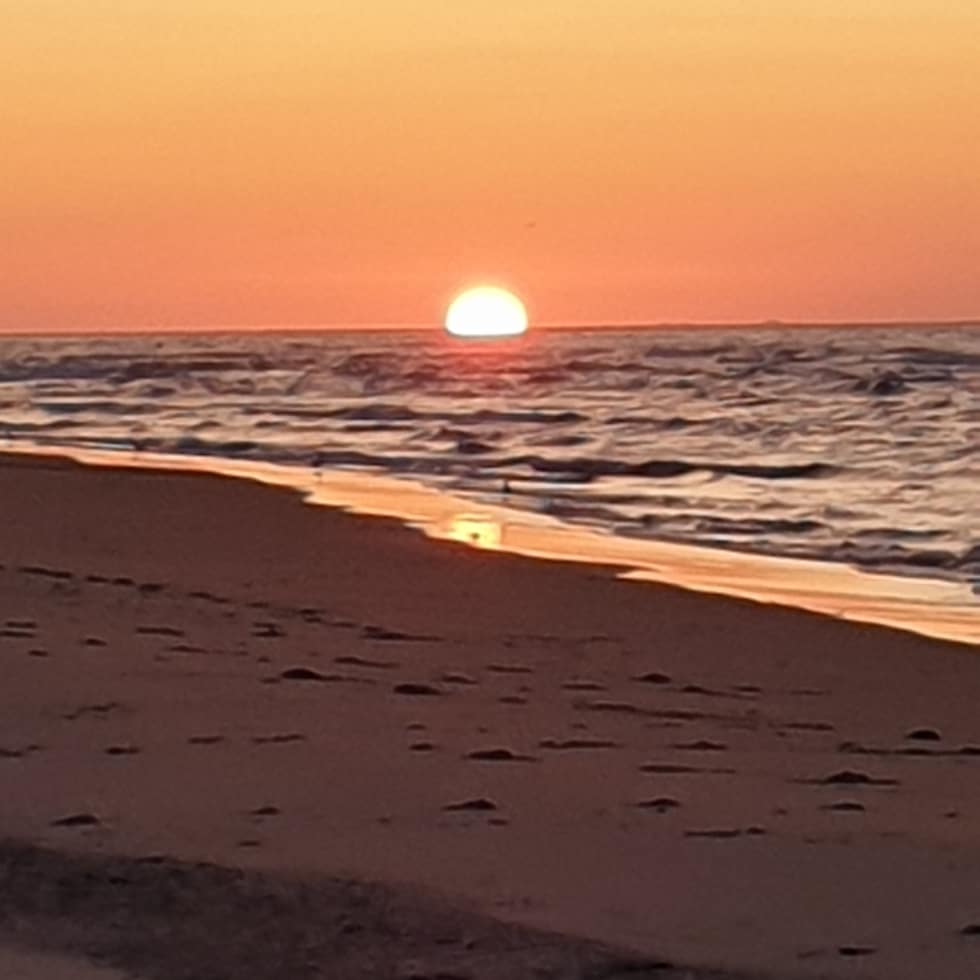 Photo n° 12 de l'avis de R. fait le 27/07/2019 à 06:13