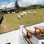 Photo n°2 de l'avis de Marco.o fait le 24/06/2019 à 10:53 sur le  O Branquinho à Rosais