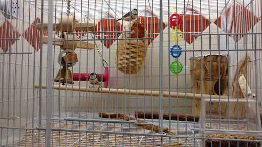 Pet Store «Animal Ark», reviews and photos, 175 S 500 E St, American Fork, UT 84003, USA