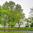 Ecole Maternelle du Petit Chênois