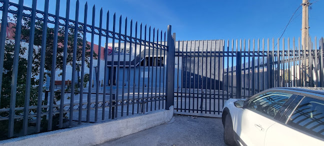 https://www.dartel.cl/