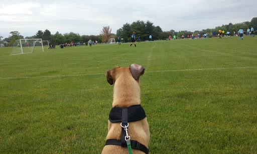 Park «Huffman Park», reviews and photos, 811 Tartans Dr, West Dundee, IL 60118, USA