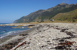 Okiwi Bay Beach'in fotoğrafı imkanlar alanı