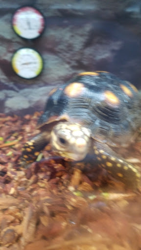 Pet Supply Store «Petco Animal Supplies», reviews and photos, 5565 S Virginia St, Reno, NV 89502, USA