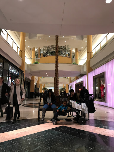 Department Store «Nordstrom Somerset Collection», reviews and photos, 2850 W Big Beaver Rd, Troy, MI 48084, USA
