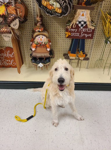 Craft Store «Hobby Lobby», reviews and photos, 360 W University Pkwy, Orem, UT 84058, USA