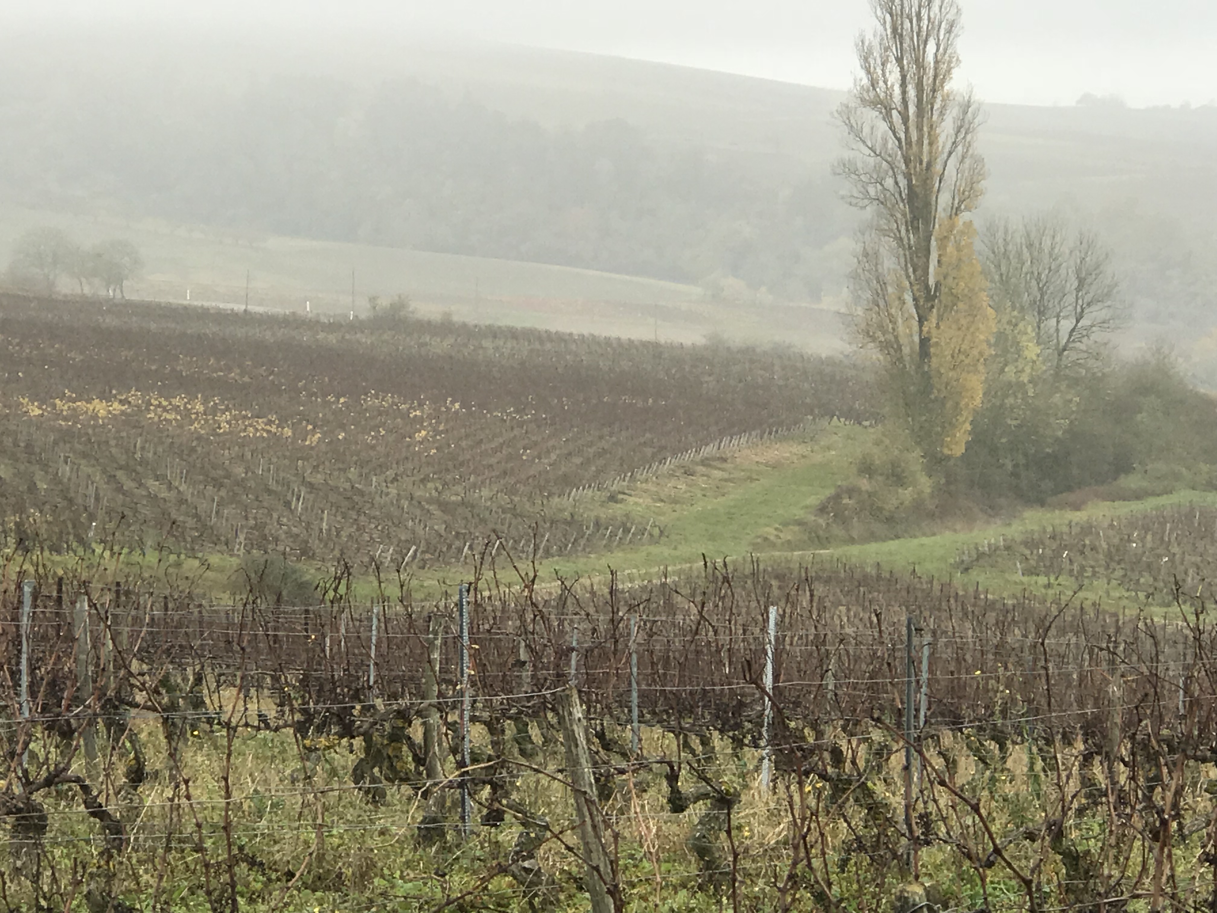 Photo n° 5 de l'avis de elizabeth.h fait le 11/11/2017 à 08:15