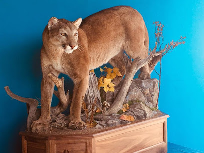 Mountain Legends Taxidermy