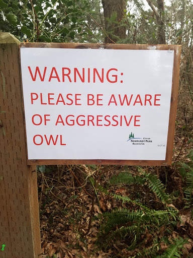 Park «Marine View Park», reviews and photos, 20945 Marine View Dr SW, Normandy Park, WA 98166, USA