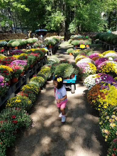 Florist «The Growth Co.», reviews and photos, 167 Hazard Ave, Enfield, CT 06082, USA