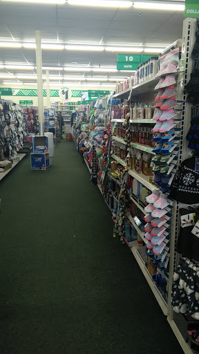 Dollar Store «Dollar Tree», reviews and photos, 5435 N Harlem Ave, Chicago, IL 60656, USA