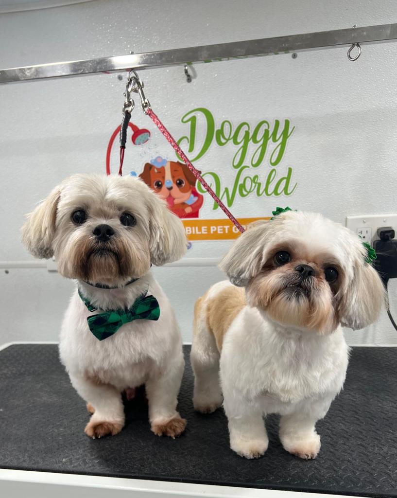 Doggy World Mobile Pet Grooming Llc