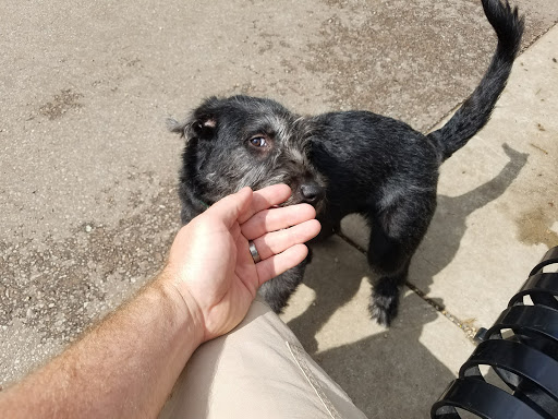 Dog Park «Portage Dog Friendly Area», reviews and photos, 4100 N Long Ave, Chicago, IL 60641, USA