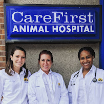 Care First - Photo 8 - Car repair in Cary, NC, Cary