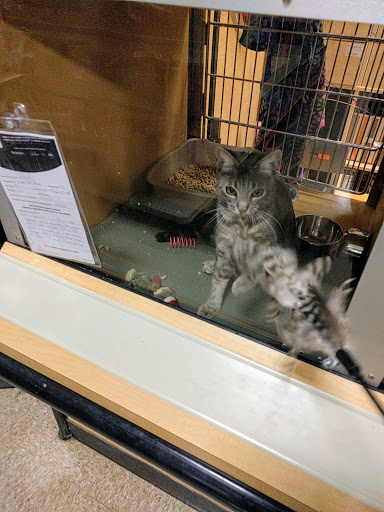 Pet Supply Store «PetSmart», reviews and photos, 160 Alewife Brook Pkwy, Cambridge, MA 02138, USA