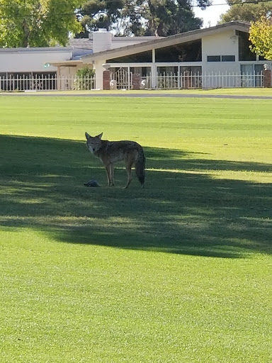 Golf Club «Las Vegas National Golf Course», reviews and photos, 1911 E Desert Inn Rd, Las Vegas, NV 89109, USA