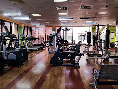 Shahin Gym - 5 24a St - Dubai - United Arab Emirates