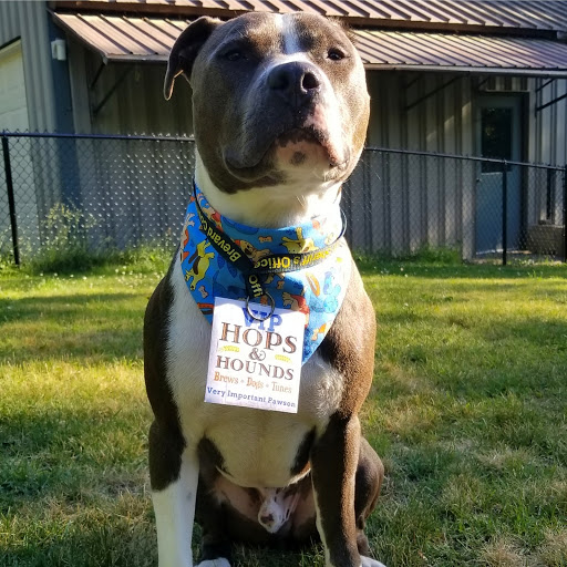 Museum «Raitt Homestead Farm Museum», reviews and photos, 2077 State Rd, Eliot, ME 03903, USA