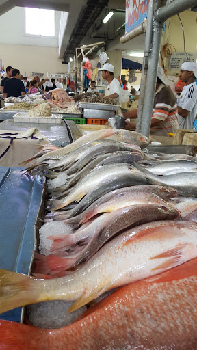 Fishmongers Panama