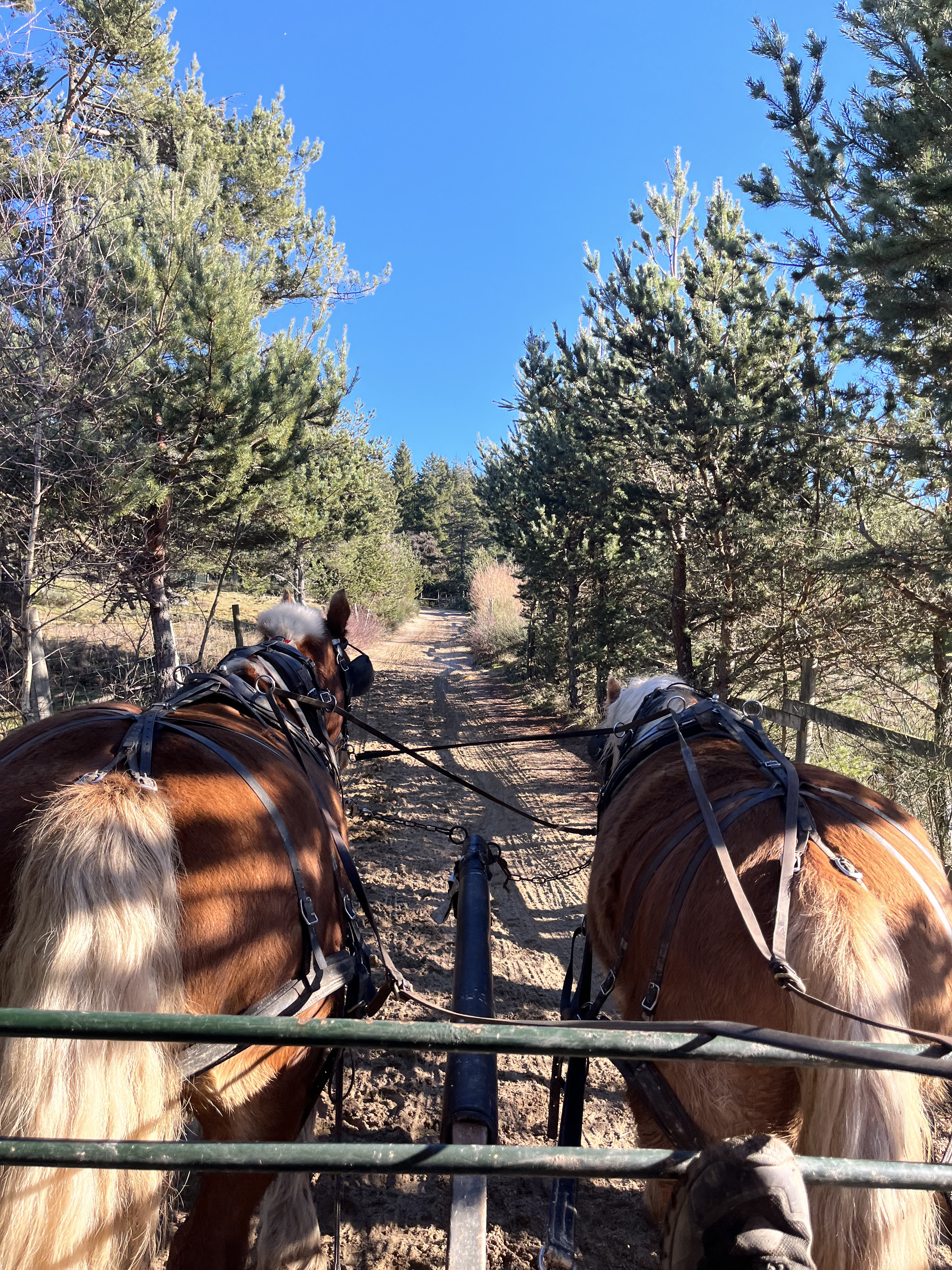 Photo n° 10 de l'avis de kerl.o fait le 06/01/2023 à 20:29