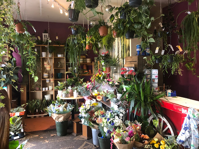 Reviews of The Red Flower Barrow in Bristol - Florist