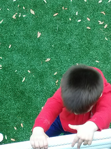 Park «Live Oaks Park», reviews and photos, 904 14th St, Port Royal, SC 29935, USA