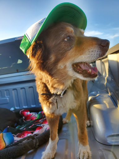 Swimming School «Adventure Sports Unlimited», reviews and photos, 303 Potrero St #15, Santa Cruz, CA 95060, USA