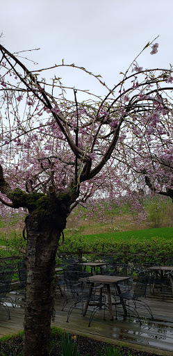 Winery «Sharpe Hill Vineyard», reviews and photos, 108 Wade Rd, Pomfret, CT 06258, USA